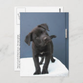 Pete Postkarte (Vorne/Hinten)