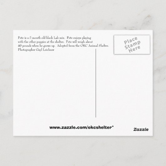 Pete Postkarte (Rückseite)