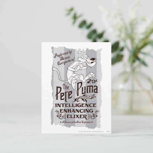 Pete Puma Intelligence Elixer Postkarte (Stehend Vorderseite)