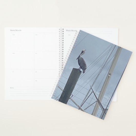 Pete the Pelican Planer (Anzeige)