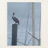 Pete the Pelican Planer (Vorderseite)