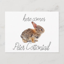 Peter Cottontail Bunny Rabbit Feiertagspostkarte