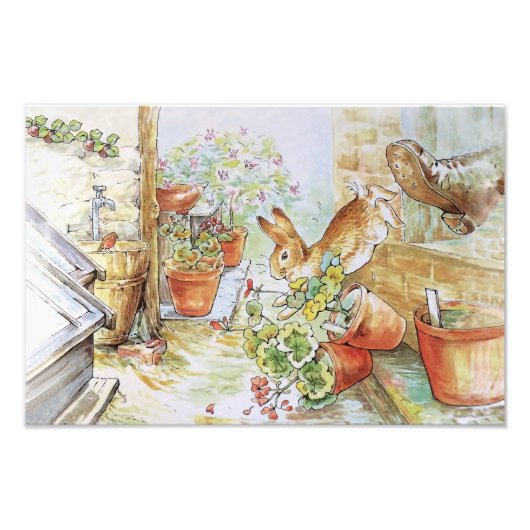 Peter das Kaninchen, das in Gartenschuppen stürzt Fotodruck (Vorne)