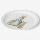 Peter das Kaninchen in seinem Garten Pappteller (Schrägansicht)