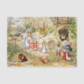 Peter das Kaninchen Seidenpapier (Vorderseite)