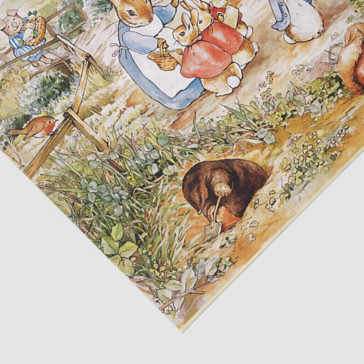 Peter das Kaninchen Seidenpapier (Ausschnitt)