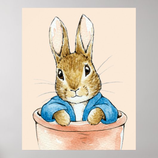 Peter das Kaninchen sitzt in einem Topf Poster (Vorne)
