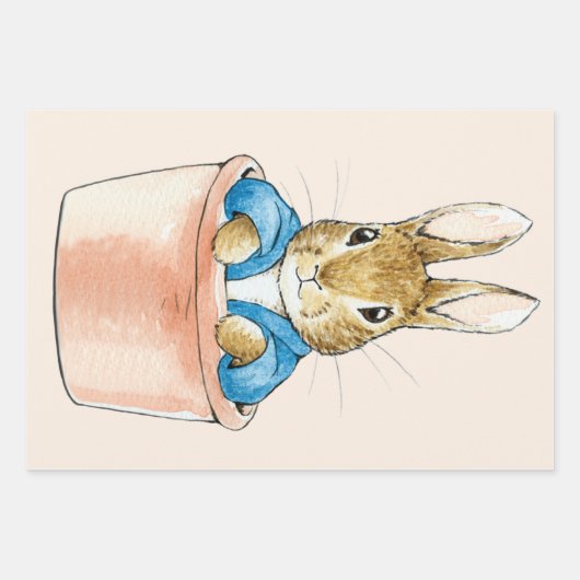 Peter das Kaninchen sitzt in Pflanze Pot Geschenkpapier Set (Vorderseite 2)