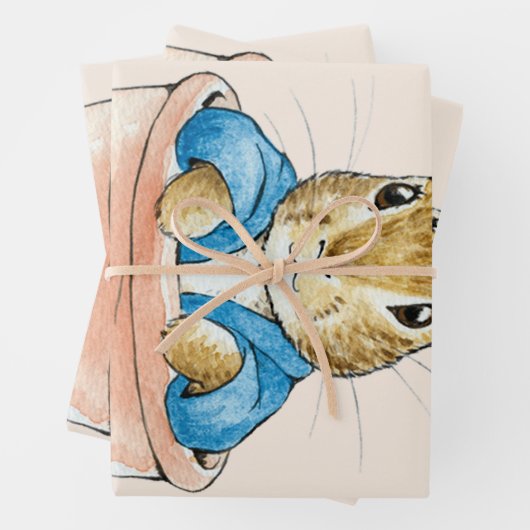 Peter das Kaninchen sitzt in Pflanze Pot Geschenkpapier Set (Beispiel)