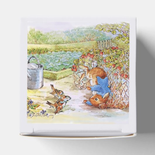 Peter das Kaninchen Tumbling in Vegie Patch Geschenkschachtel (Oben)