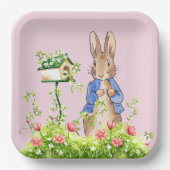 Peter der Kaninchen in seinem Garten Pappteller (Vorderseite)