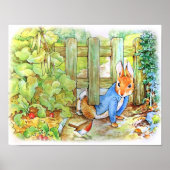 Peter der Kaninchen schleichend in Mc Gregor's Veg Poster (Vorne)