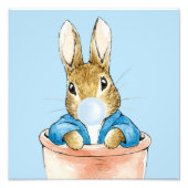 Peter der Rabbit bläst ein blaues Blasen-Kaugummi Fotodruck (Vorne)