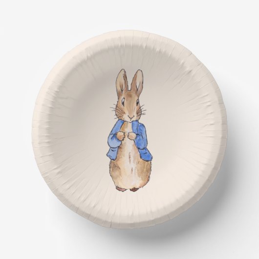 Peter der Rabbit-Hintergrund Pappteller (Vorderseite)