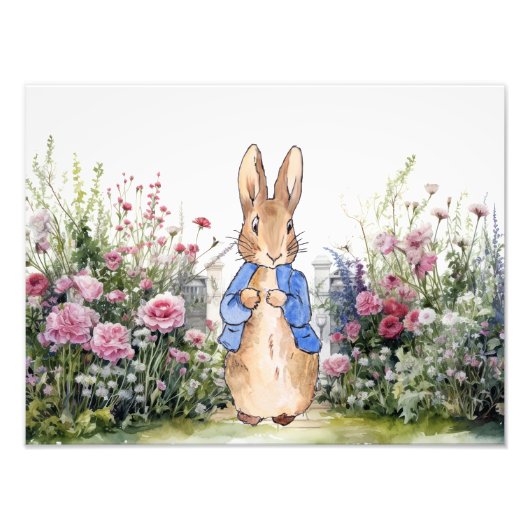 Peter der Rabbit in seinem Garten Nr. 2 Fotodruck (Vorne)