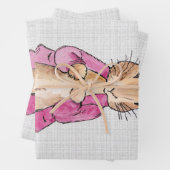 Peter der Rabbit Pink Jacket Gray Linen Geschenkpapier Set (Beispiel)
