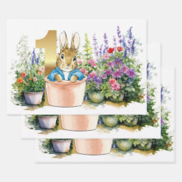 Peter der Rabbit zum ersten Geburtstag in einem To Geschenkpapier Set