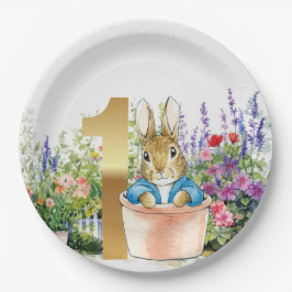 Peter der Rabbit zum ersten Geburtstag in einem To Pappteller