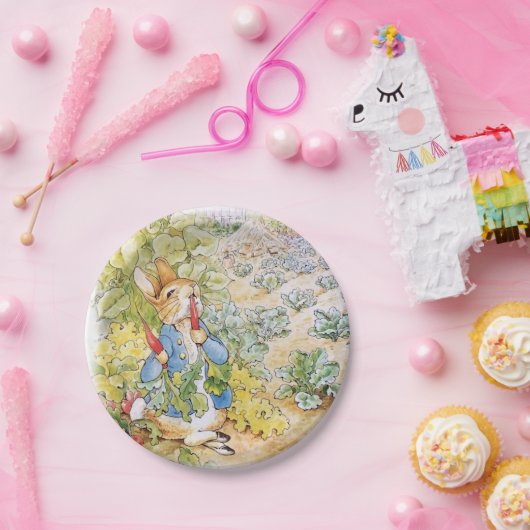 Peter die Kaninchenpapierplatte Pappteller (Party)