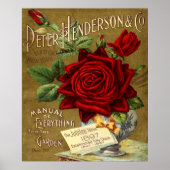 Peter Henderson & Co. Garden Catalog Ad Poster (Vorne)