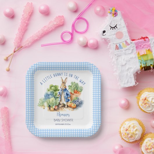 Peter Kaninchen Babydusche bedruckt Pappteller (Party)