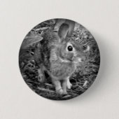 Peter-Kaninchen Button (Vorderseite)