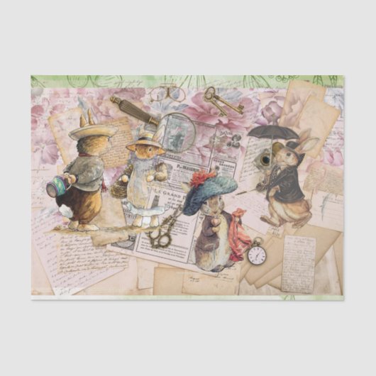 Peter-Kaninchen-Stoffpapier Seidenpapier (Vorderseite)