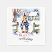 Peter Kaninchen Winter Geburtstagsgeschirr Serviette (Vorderseite)