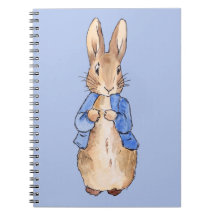 Peter mit blauem Hintergrund