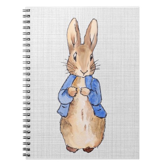 Peter mit grauem Linenhintergrund Notizblock (Vorderseite)