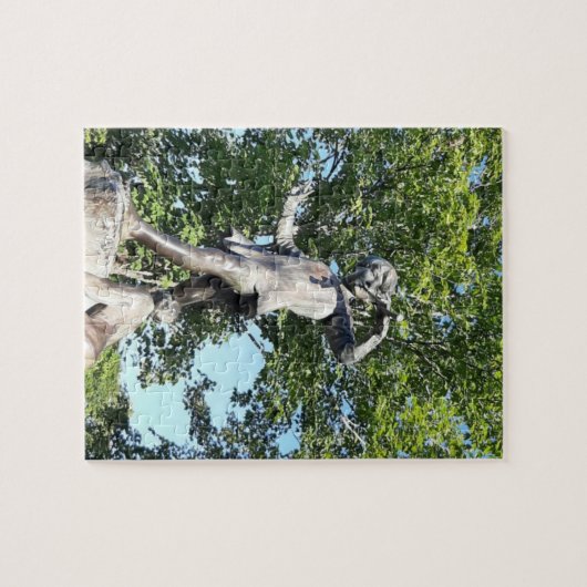 Peter Pan Statue Puzzle (Horizontal)