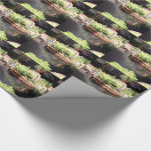 Peter Pan-Teich Geschenkpapier (Ecke)