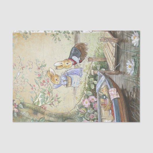 Peter Rabbit 11 Seidenpapier (Vorderseite)