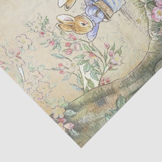 Peter Rabbit 11 Seidenpapier (Ausschnitt)