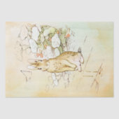 Peter Rabbit 2 Tissue Paper Seidenpapier (Vorderseite)