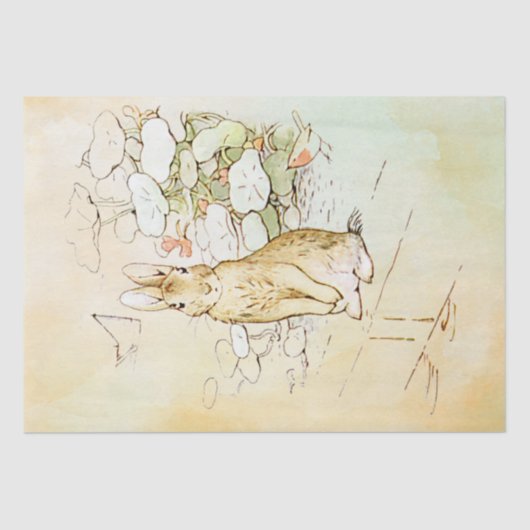 Peter Rabbit 2 Tissue Paper Seidenpapier (Vorderseite)
