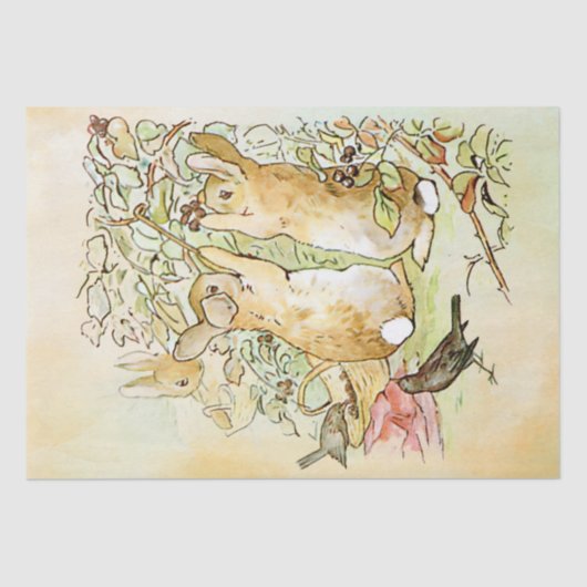 Peter Rabbit 3 Tissue Paper Seidenpapier (Vorderseite)