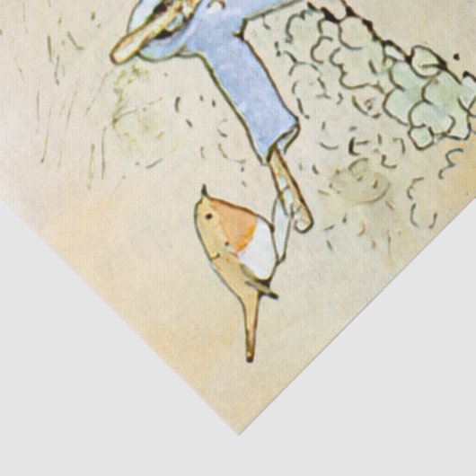 Peter Rabbit 5 Tissue Paper Seidenpapier (Detail)