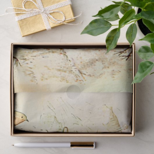 Peter Rabbit 5 Tissue Paper Seidenpapier (Geschenk)