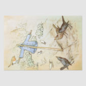 Peter Rabbit 5 Tissue Paper Seidenpapier (Vorderseite)