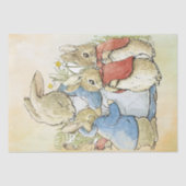 Peter Rabbit 8 Tissue Paper Seidenpapier (Vorderseite)