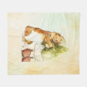 Peter Rabbit 9 Fleecedecke (Vorderseite (Horizontal))
