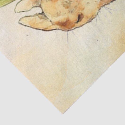 Peter Rabbit 9Tissue Seidenpapier (Detail)