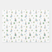 Peter Rabbit Baby Geschenkpapier Set (Vorderseite)