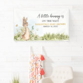 Peter Rabbit Baby Shower Banner (Insitu)