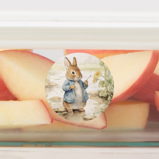Peter Rabbit Baby Shower Etiketten (Befestigt)