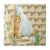 Peter Rabbit Beatrix Potter Doorway Ceramic Tile Fliese (Vorderseite)