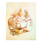 Peter Rabbit Beatrix Potter Fotodruck (Vorne)