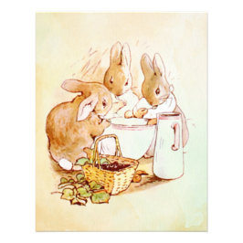 Peter Rabbit Beatrix Potter Fotodruck
