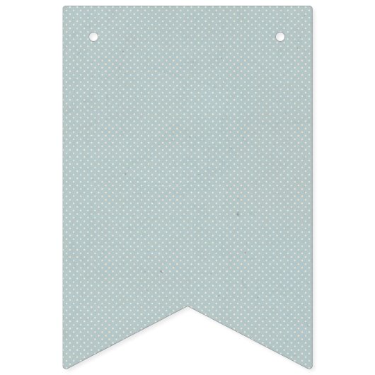 Peter Rabbit | Boy Baby Dusche Wimpelkette (Erste Fahne)